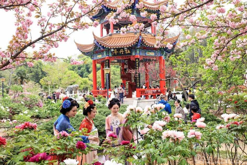 清明假期文旅融合热点:春游赏花观景成消费新亮点 清明假期文旅融合热点:春游赏花观景成消费新亮点